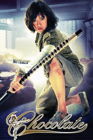 Chocolate (2008) Hindi Dual Audio 300MB
